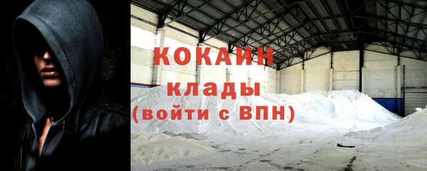 сатива Аркадак