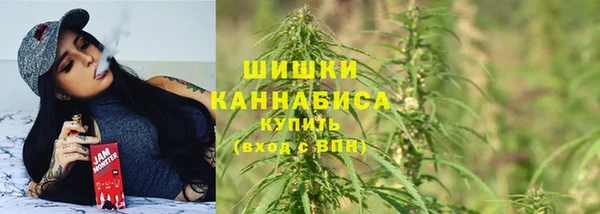 сатива Аркадак