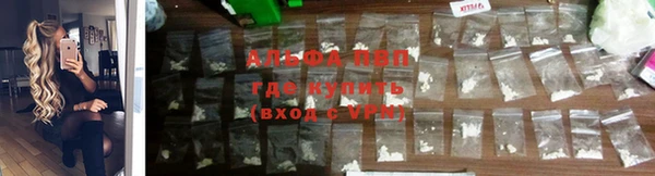 хмурый Алзамай