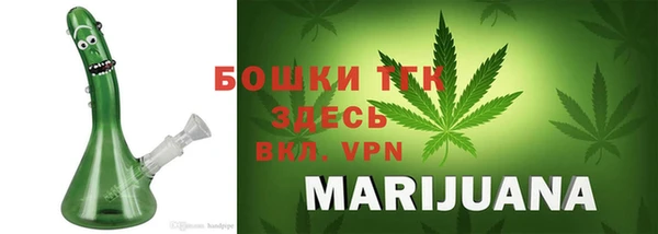 сатива Аркадак