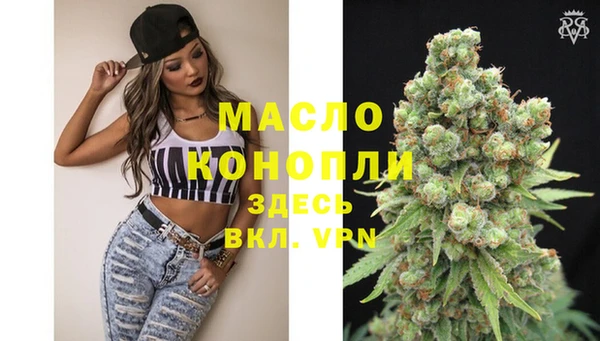 сатива Аркадак