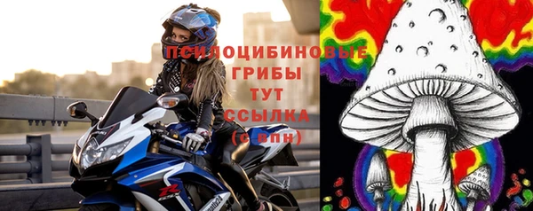 сатива Аркадак