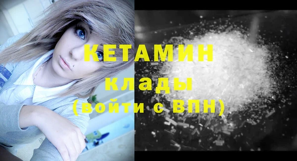 сатива Аркадак