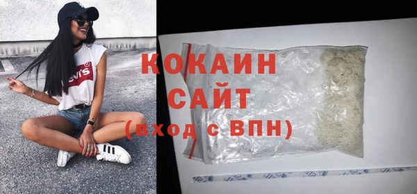сатива Аркадак