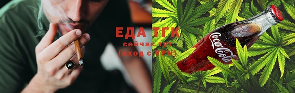 сатива Аркадак