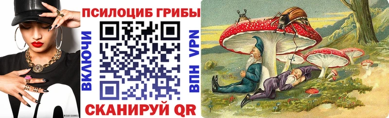 Псилоцибиновые грибы мицелий Мензелинск